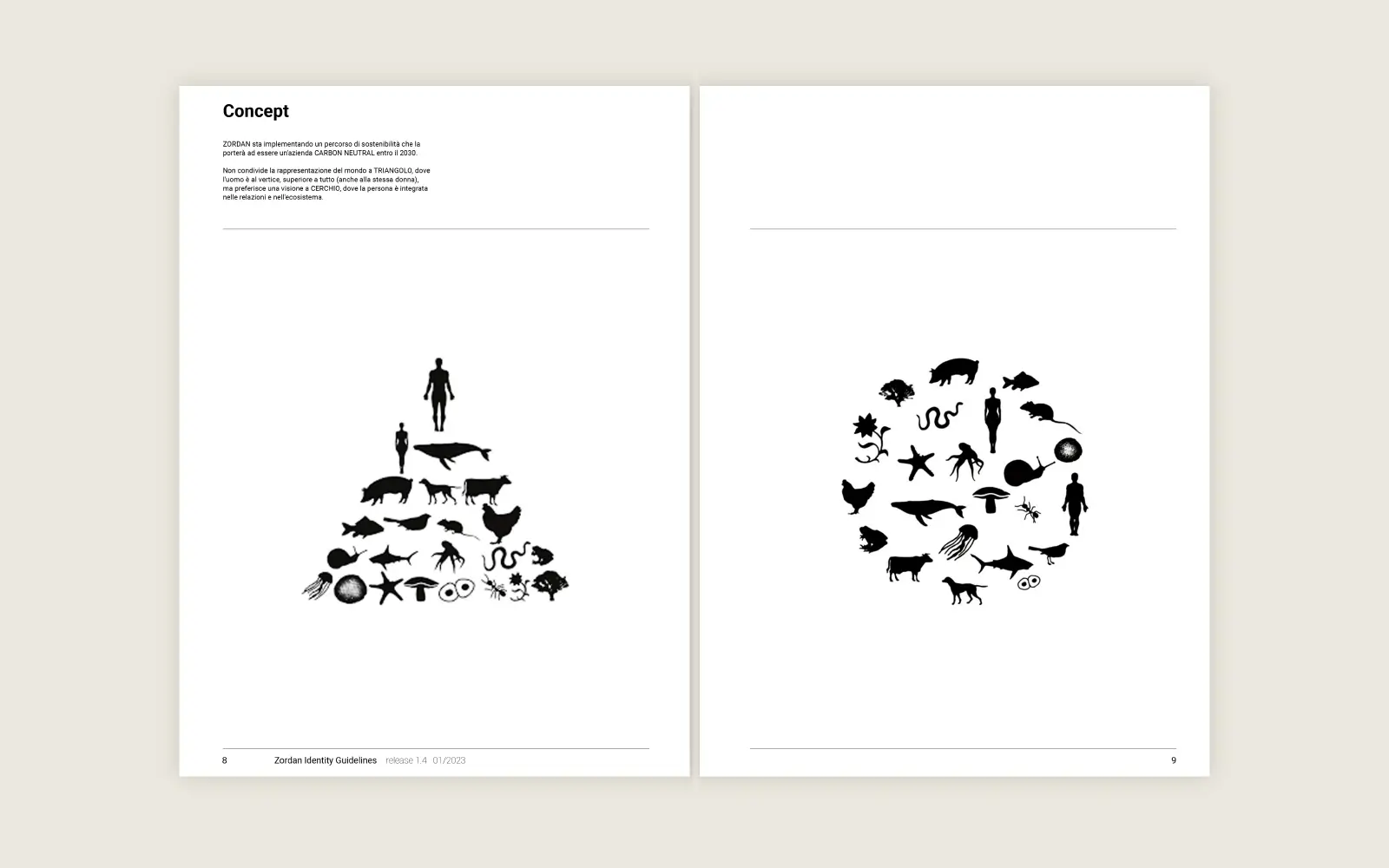 Zordan branding project