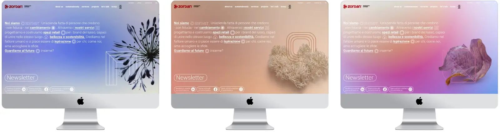 zordan website