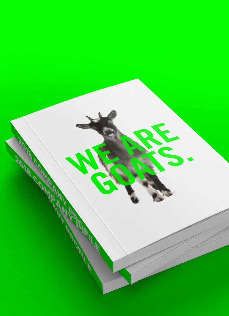 boreandesign corporate profile