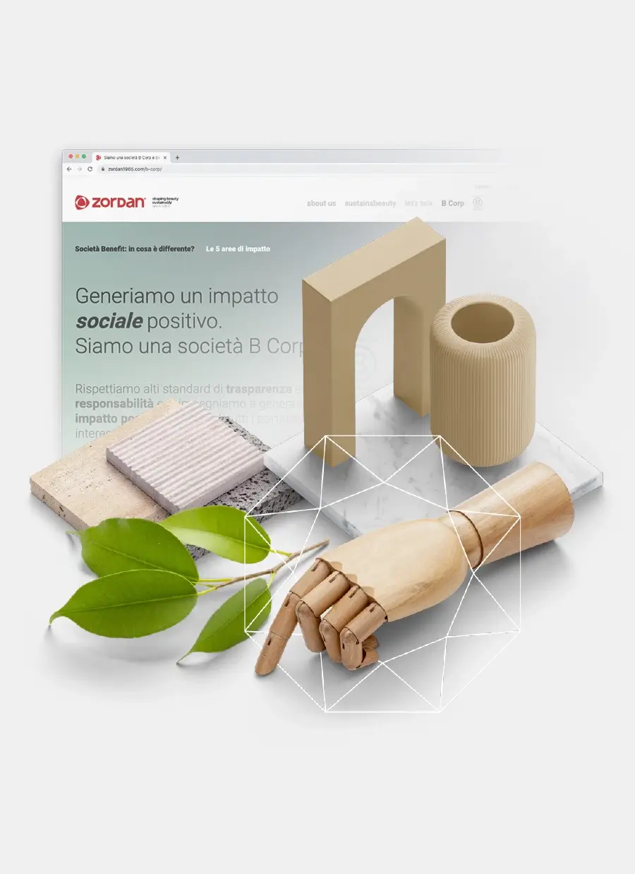 ZORDAN website design
